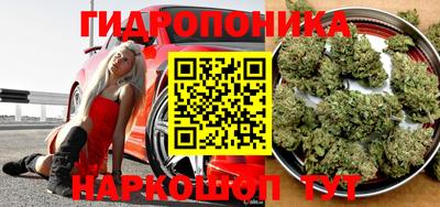 гидра Дубна