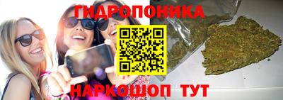 гидра Дубна