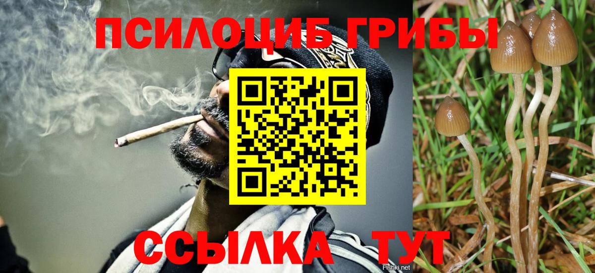 Псилоцибиновые грибы мицелий Лянтор