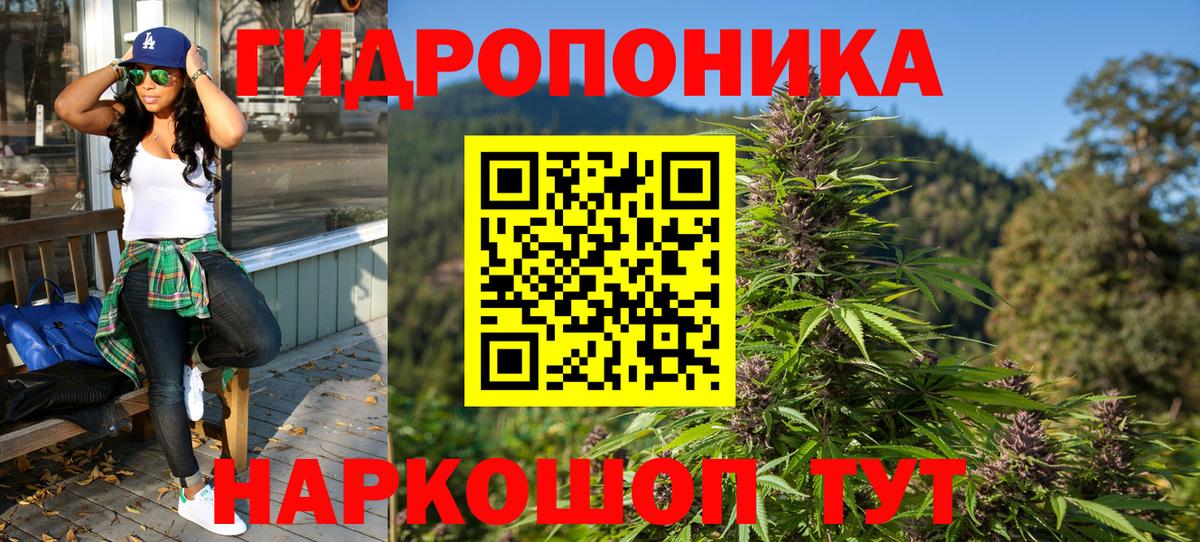 Шишки марихуана марихуана Лянтор